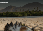 Keindahan Wisata Situbondo yang Jarang Diketahui, dari Safari hingga Pesona Alam Menakjubkan