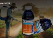 Herbisida Kontak: Bahan Aktif dan Produk yang Sering Dijumpai di Toko Pertanian