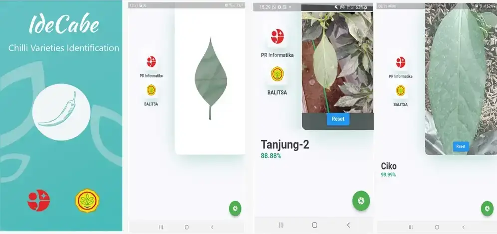 Ide-Cabe: Aplikasi Deep Learning untuk Identifikasi Varietas Cabai Secara Otomatis
