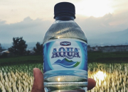 bpkn selidiki aqua