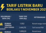 Tarif Listrik Baru 1 November 2025