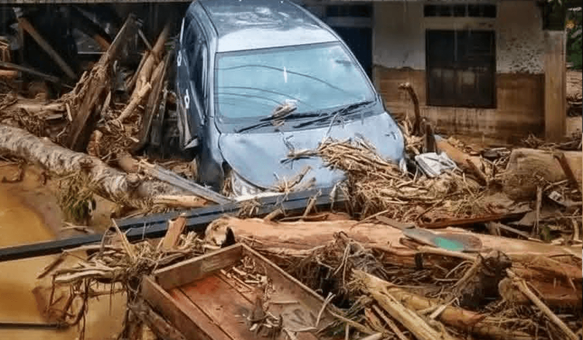 Banjir Kayu Gelondongan Indonesia di wilayah sungai yang membawa batang pohon besar.